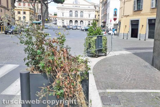 Viterbo - Le prime fioriere in via Marconi