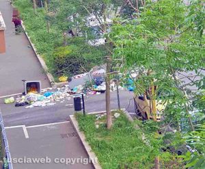Viterbo - Il saccheggio dei cinghiali in via Genova