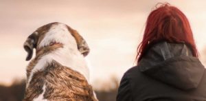 Percorso formativo per i proprietari di cani