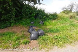 Ronciglione - Immondizia abbandonata lungo la strada Ronciglionese