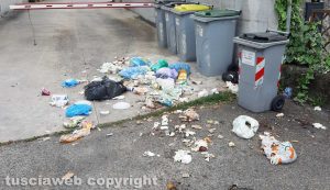Viterbo - Rifiuti a terra