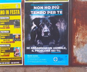 Montefiascone - I cartelli affissi ds Enta per la sensibilizzazione contro l'abbandono degli animali