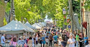 Bolsena - La festa delle ortensie