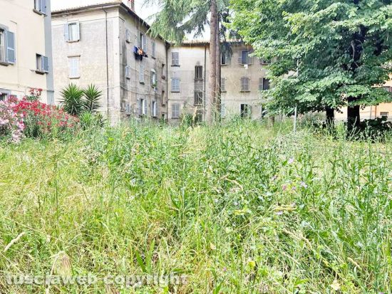 Viterbo - Il parco tra via Vanni e via del Massaro