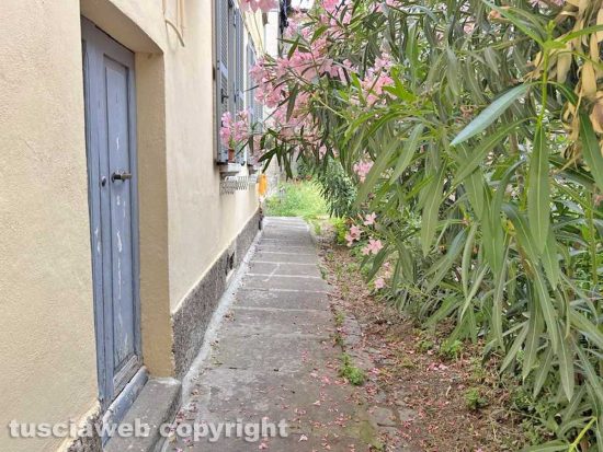 Viterbo - Il parco tra via Vanni e via del Massaro