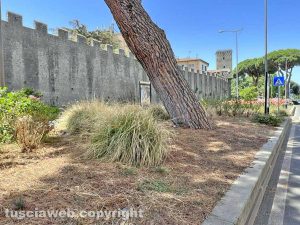 Viterbo - Piazzale Gramsci