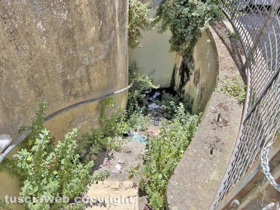 Viterbo - I bagni pubblici di piazza dei Caduti