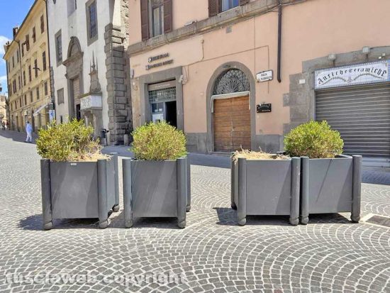 Viterbo - Le fioriere di piazza del Comune