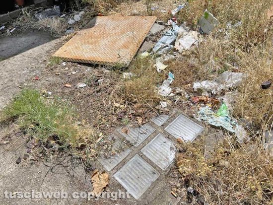 Viterbo - I bagni pubblici di piazza dei Caduti - Il tetto