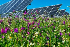 Tarquinia - L'agrivoltaico di Piani della Marina
