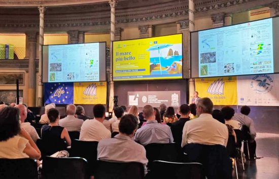 Guida Blu 2024 - La presentazione