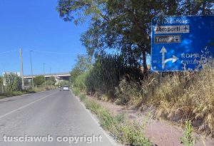Viterbo - Il degrado sulla pista ciclabile di strada Bagni