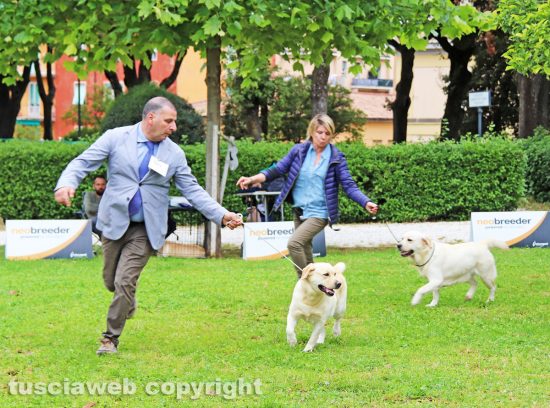 Viterbo - 54esima esposizione internazionale canina città 