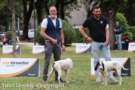 Viterbo - 54esima esposizione internazionale canina città