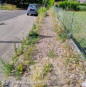 Viterbo - L'ingresso del Nido a Colori