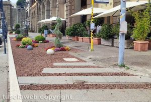 Viterbo - L'aiuola a piazza della Rocca