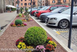 Viterbo - L'aiuola a piazza della Rocca