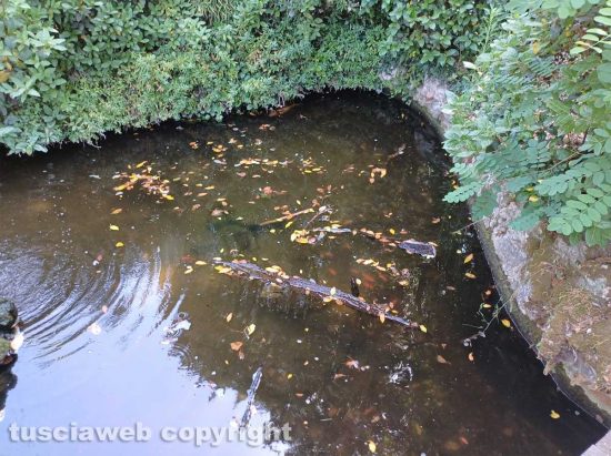 Viterbo - Pratogiardino Battisti nell'abbandono