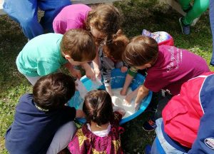 Clorophilla Festa della natura per bambini