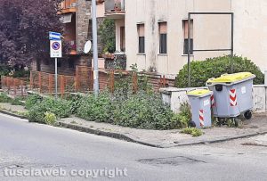 Viterbo - Erba alta in via Vicenza