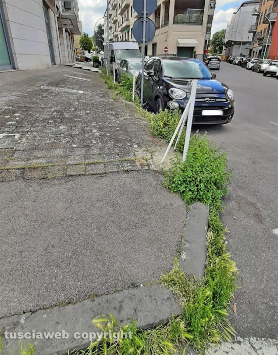 Viterbo - Erba alta in via Vicenza