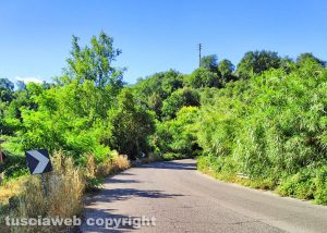 Viterbo - Cassia Sud con erba alta in zona Ponte dell'Elce