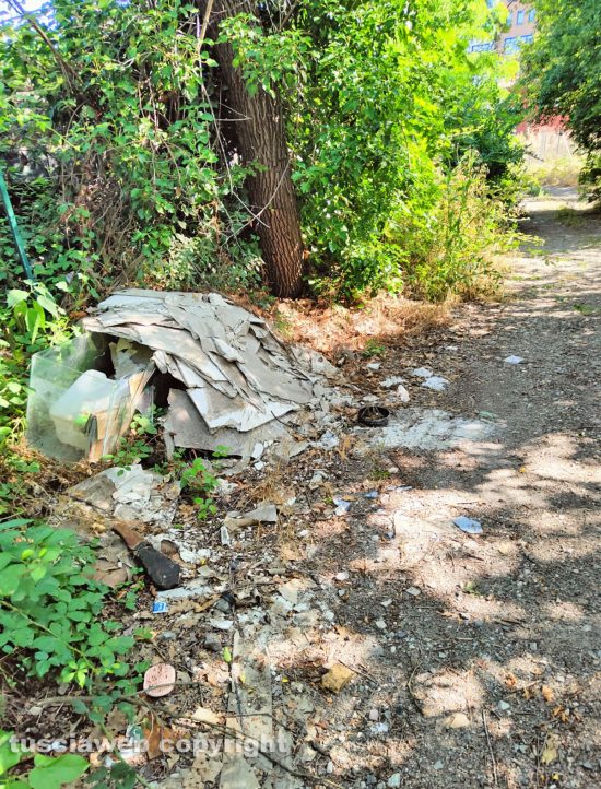 Viterbo - Strada con erbacce e immondizia in zona Ponte dell'Elce