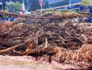 Viterbo - Erbacce e rami tagliati lasciati in strada di fronte al Palazzetto dello Sport