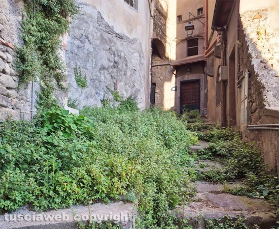  Viterbo - Incuria e erba alta in via Delle Mole