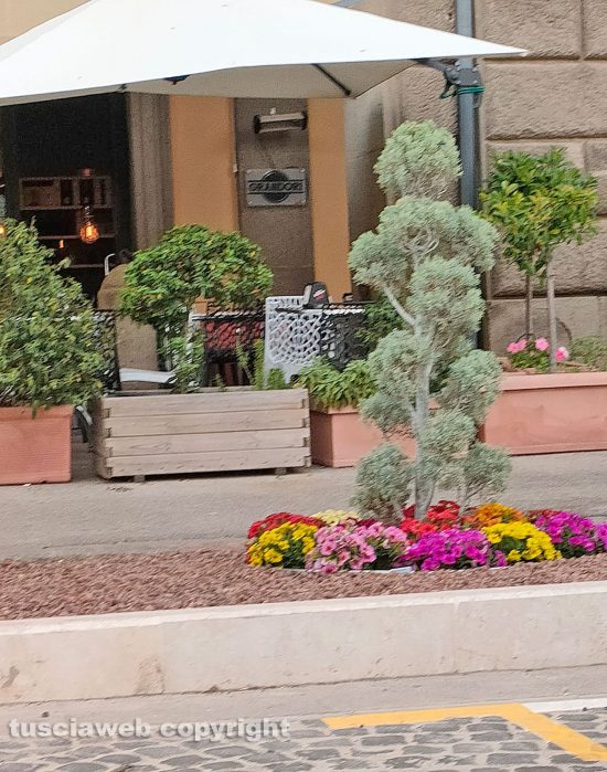 Viterbo - Fioriera a piazza della Rocca