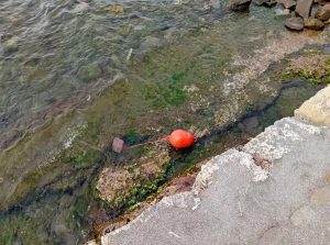 Tarquinia - Trovato ordigno bellico a Porto Clementino