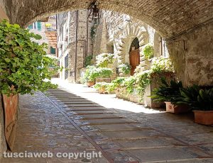 Todi