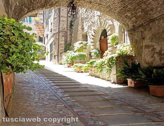 Todi