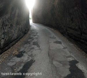 Viterbo - Il degrado in strada Signorino