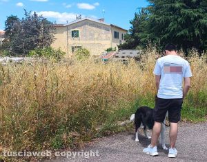 Viterbo - Via Tiziano - Erba alta