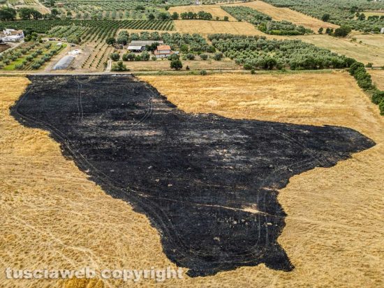 Viterbo - Campo di grano in fiamme in località Volpara