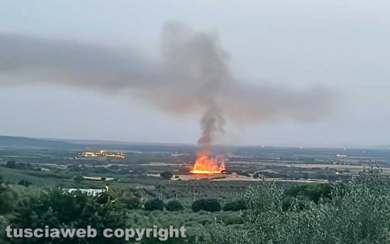 Viterbo - Campo di grano in fiamme in località Volpara