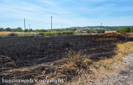 Viterbo - Auto a fuoco sulla Cassia nord, le fiamme si propagano in un campo di grano