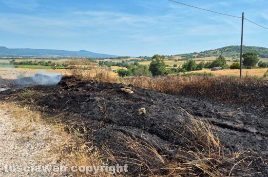 Viterbo - Auto a fuoco sulla Cassia nord, le fiamme si propagano in un campo di grano