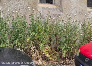 Viterbo - Bagnaia - Sterpaglia alte vicino un parcheggio