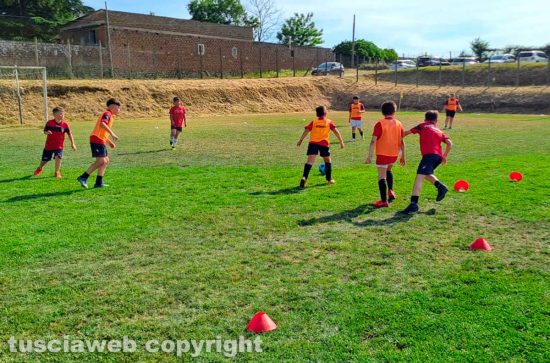 Football club Nepi