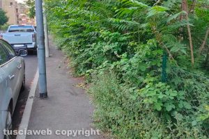 Viterbo - Uno dei marciapiedi in via Belluno