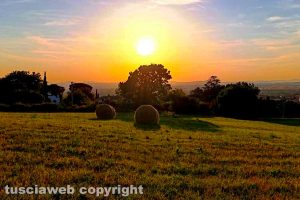 Viterbo - La campagna lungo strada Sammartinese