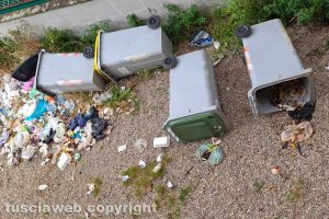 Viterbo - Secchioni rovesciati dai cinghiali nel condominio di via Gorizia