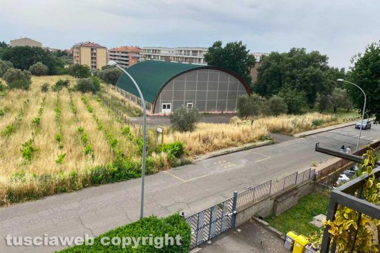 Viterbo - Erba alta attorno alla palestra di Santa Barbara