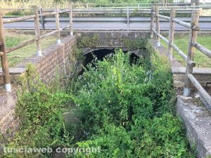 Il canaletto a Capodimonte