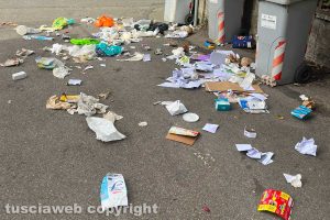 Viterbo - Mastelli rovesciati dai cinghiali