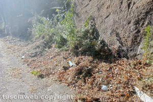 Viterbo - Il taglio dell'erba lungo i marciapiedi di Ponte dell'Elce