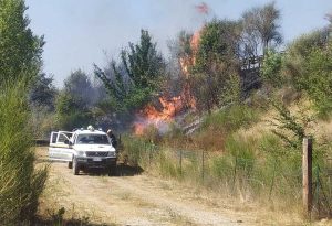 Viterbo - Incendio a Norchia