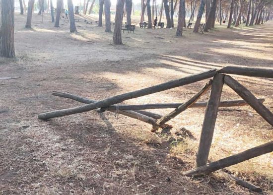 Montalto di Castro - Pineta vandalizzata